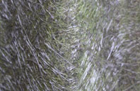 Up Hatherley fibreglass roof work